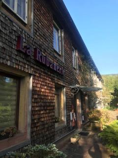 Hôtel La Rubanerie - Schirmeck - 9
