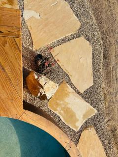 Moon Shadow Ranch Desert Medicine Retreat - Twentynine Palms - 3