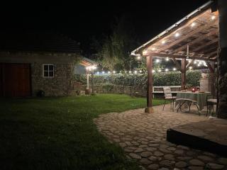 Kuća Mitića - Pirot - 8
