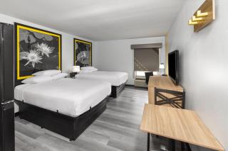 Super 8 by Wyndham Alexandria LA - Alexandria - 8