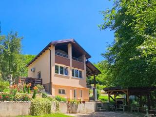 The best Riverfront house - Sarajevo - 0