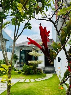GG Garden Home - Bảo Lộc - 7