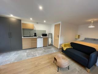 Cozy Studio in a central and quiet area near Basel - 2