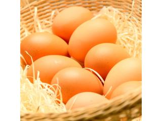 Hotel AreaOne Chitose - Vacation STAY 99089v - Chitose - 1