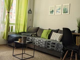 Zara Green Apartment 4 Guests Pet Friendly - Stara Sagora - 9