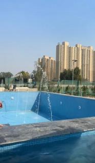 Ever green forest - 0