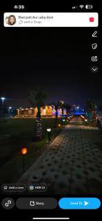 Ever green forest - 8