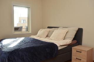 PP1A-Central-Spacious,balcony, family withkids, garage - Oslo - 2