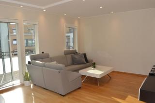 PP1A-Central-Spacious,balcony, family withkids, garage - Oslo - 1