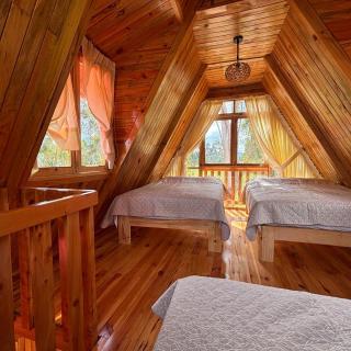 Los Gatos de Oxapampa Country Cabins - Oxapampa - 3