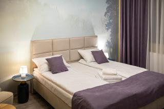 HerMira House - Sibiu - 5