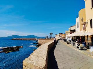Seashells - Alghero - 5