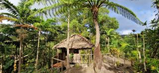 Lava view Bungalows - 5