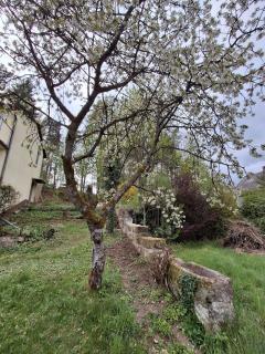 Neu renovierte Wohnung mit Traumaussicht & Natur pur - Schnabelwaid - 4