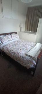Handy Inner City Apartment - Dunedin - 3