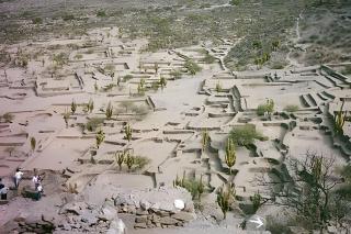Camping Agreste "El Algarrobo de Quilmes" - 8