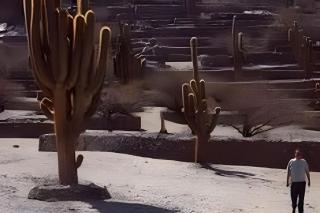 Camping Agreste "El Algarrobo de Quilmes" - 3