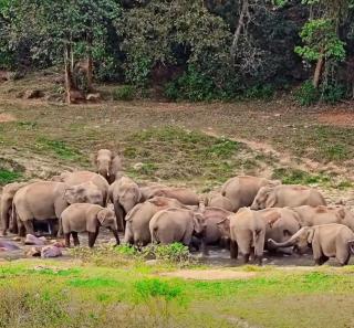 Maliyeckal Homestay - Munnar - 6