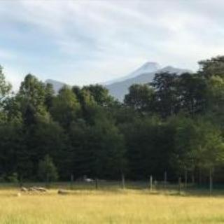 Wonderful Refuge in Pucón - 6