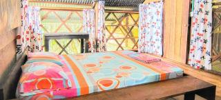 Paraíso Ayahuasca Hotel & Tours - Puerto Nariño - 8
