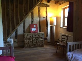 Country-side house close to loire-valley castles - Sargé-sur-Braye - 1