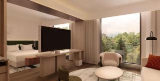 Hilton Garden Inn Zhangjiajie Tianmen Mountain - Zhangjiajie - 2