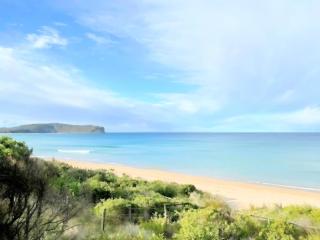 FernGully Escape | South Durras | 4 bed 3 bath - 2