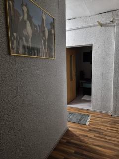 Gästewohnung Plötzky - Plötzky - 9
