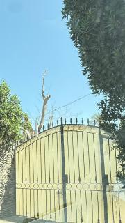Bait Younis - Cairo - 9