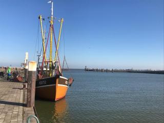 Nordsee - Wilhelmshaven - 8