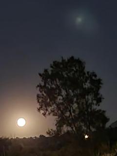 Valle Colibrí - Tuxpan - 7