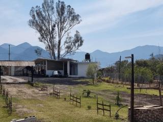 Valle Colibrí - Tuxpan - 1