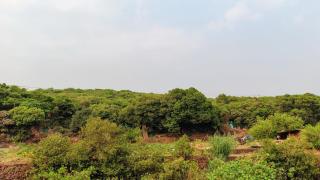 Stay Classy Inn - Mahabaleshwar - 9