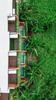 Baliris Canggu Villa by Betterplace - 4