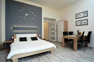 Navratilova Apartments - Prag - 7