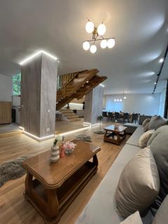 Casa River - Băişoara - 5