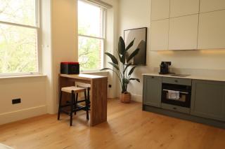 NEW park view luxury apartment - Londra - 7