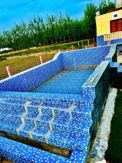 Dhawanfarms - - 9