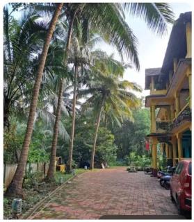 Studio Arambol Hideaway R4 by Mukund Sadan Arambol - Arambol - 6