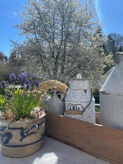 Am Kesperbaum - Germerode - 2