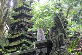 Sari Gong Guest House, A Trishula Collection - Ubud - 6