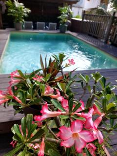 Appartement Cosy & Lumineux avec Piscine et JARDIN TROPICALE à Saint-François - Saint-François - 0