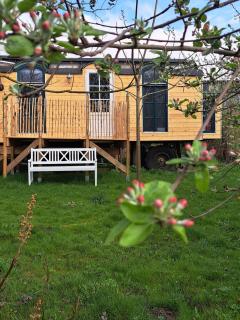 Circus wagon - adventure cozy & secure - - 5