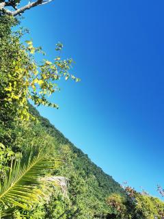 LyJosfran - Paraty - 6