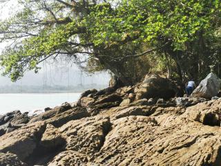 LyJosfran - Paraty - 2