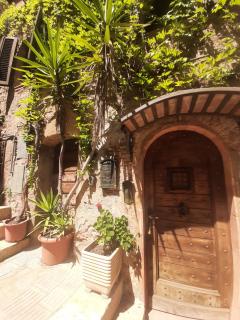 La Piazzetta Toscana B&B - Campiglia Marittima - 7