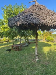 Paje Nature House! - Città di Zanzibar - 8