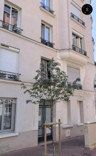 Cozy renovated studio - 5