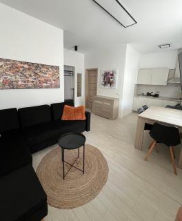 Apartamentai DU - Druskininkai - 4