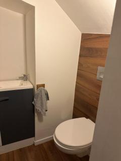 Epinal Port de plaisance Triplex 80 m2 - 4